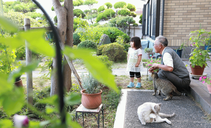 蜂の巣駆除お客様の声3